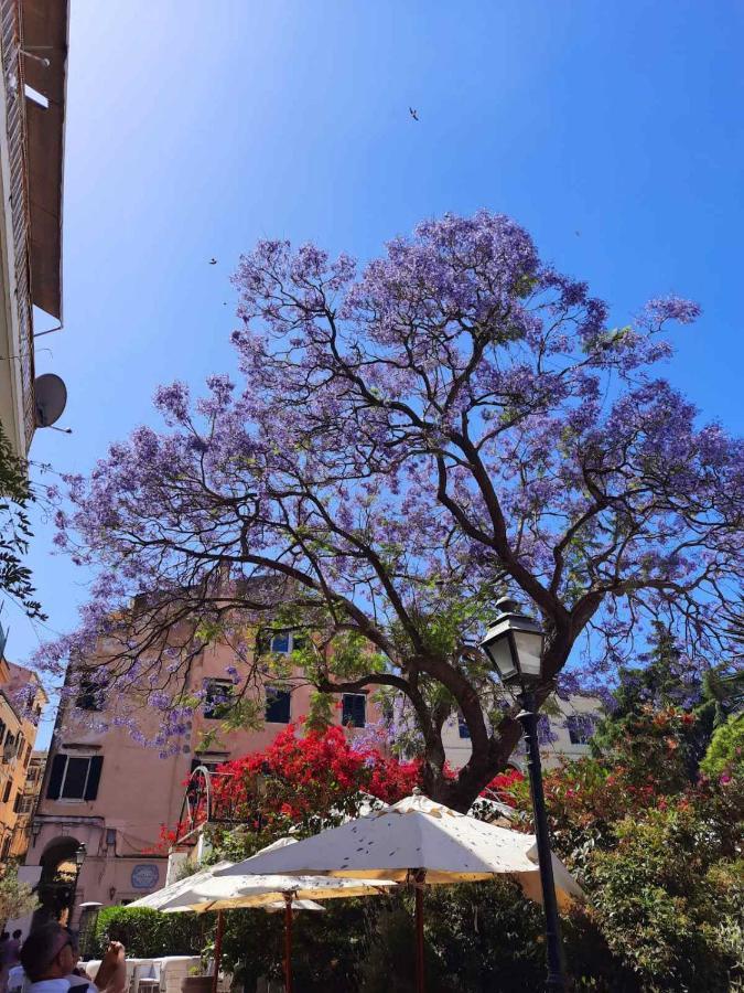 Jacaranda Corfu Old Town Apt Екстер'єр фото